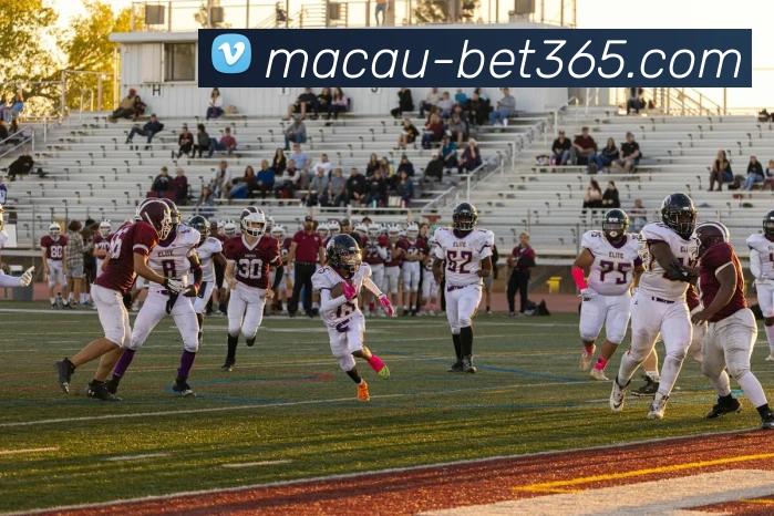 App Interface Preview